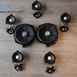 Loa HiFi Harman Kardon Cho BMW Series 5